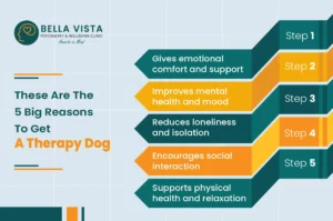 Therapy dog
